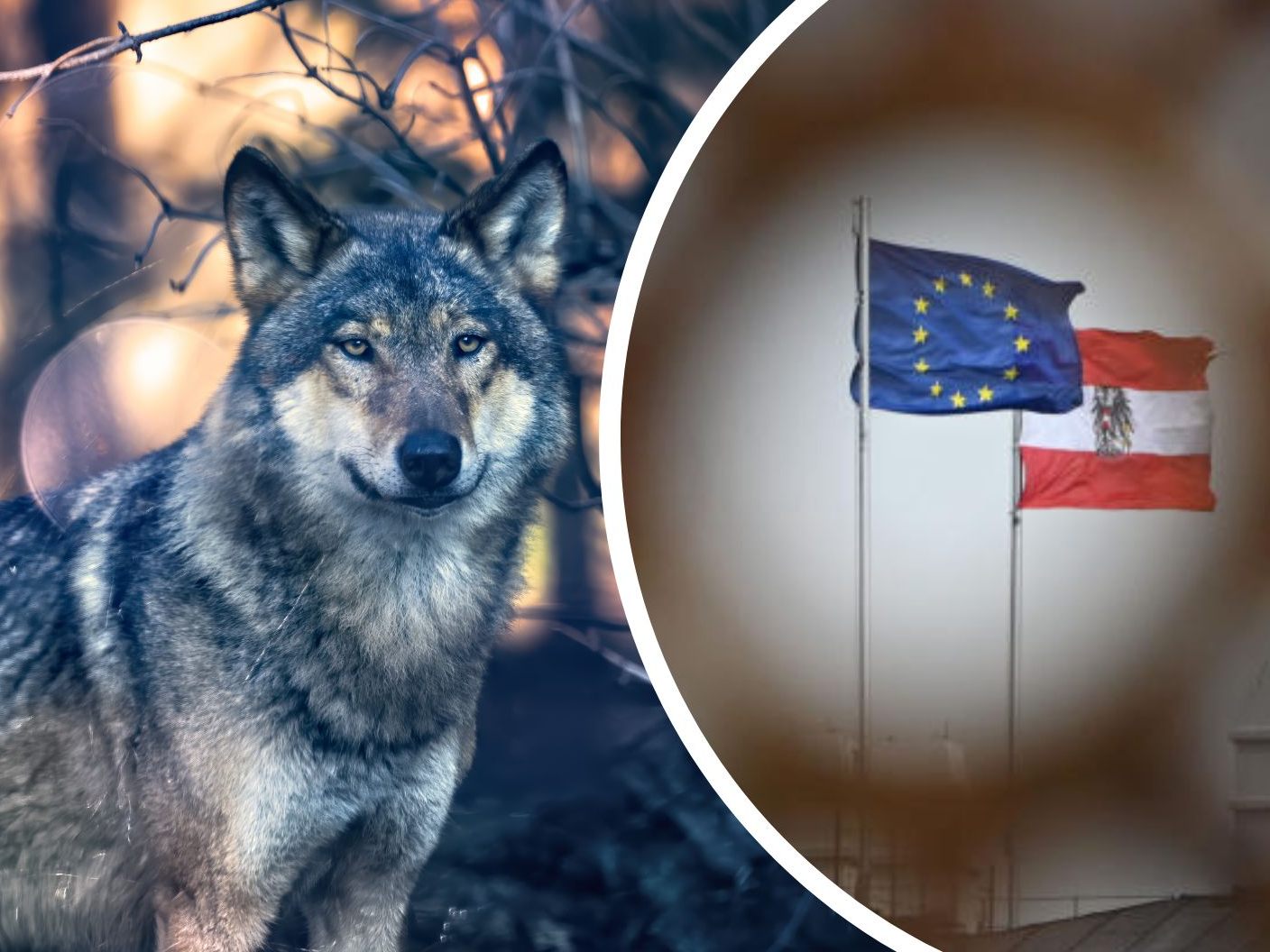 Österreich verstößt laut EU-Kommission gegen die Aarhus Konvention. Österreich verstößt laut EU-Kommission gegen die Aarhus Konvention.