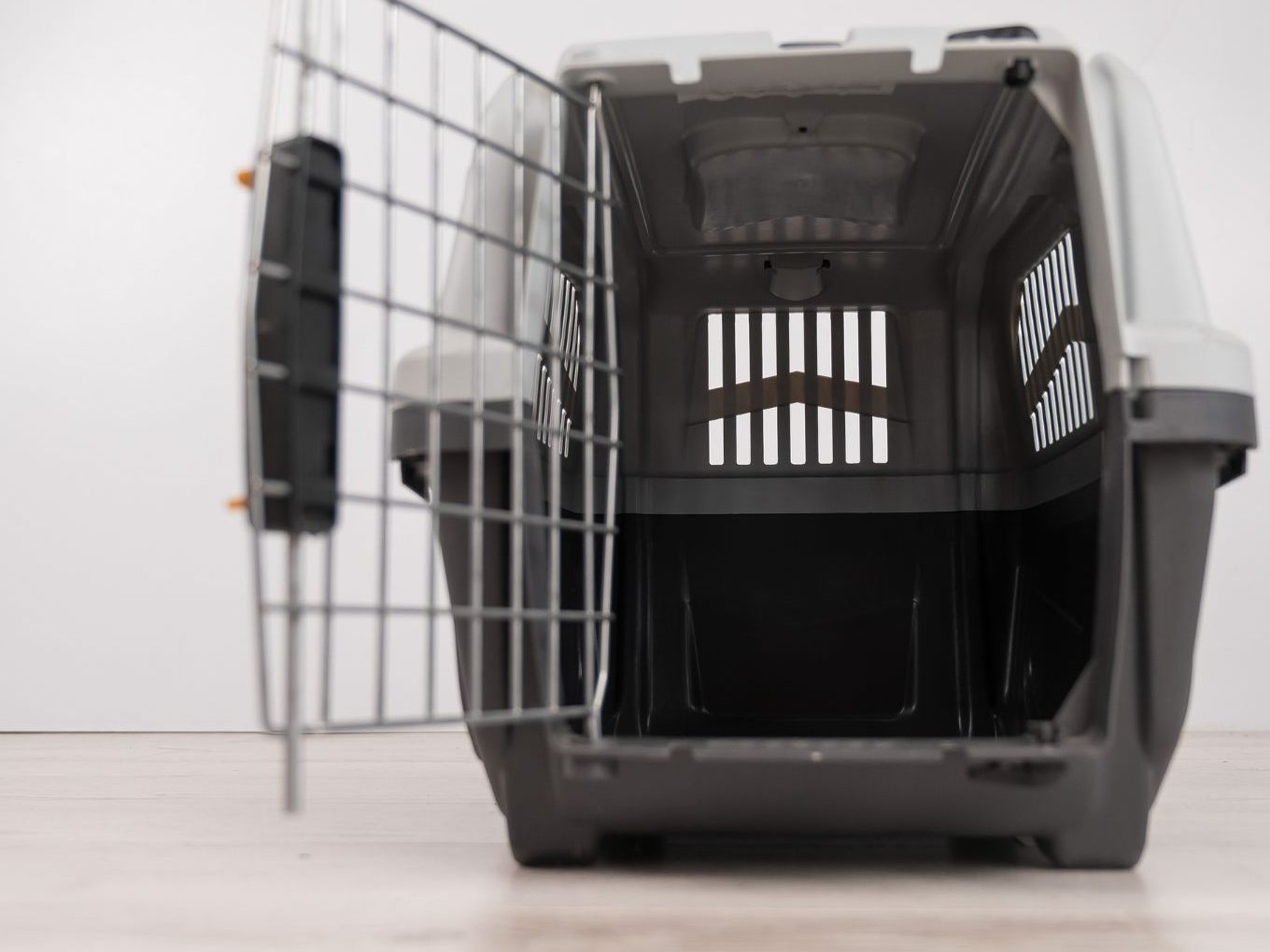 Gegen jene Mutter, die ihren Sohn in eine Hundebox gesperrt haben soll, wurde nun Anklage erhoben.