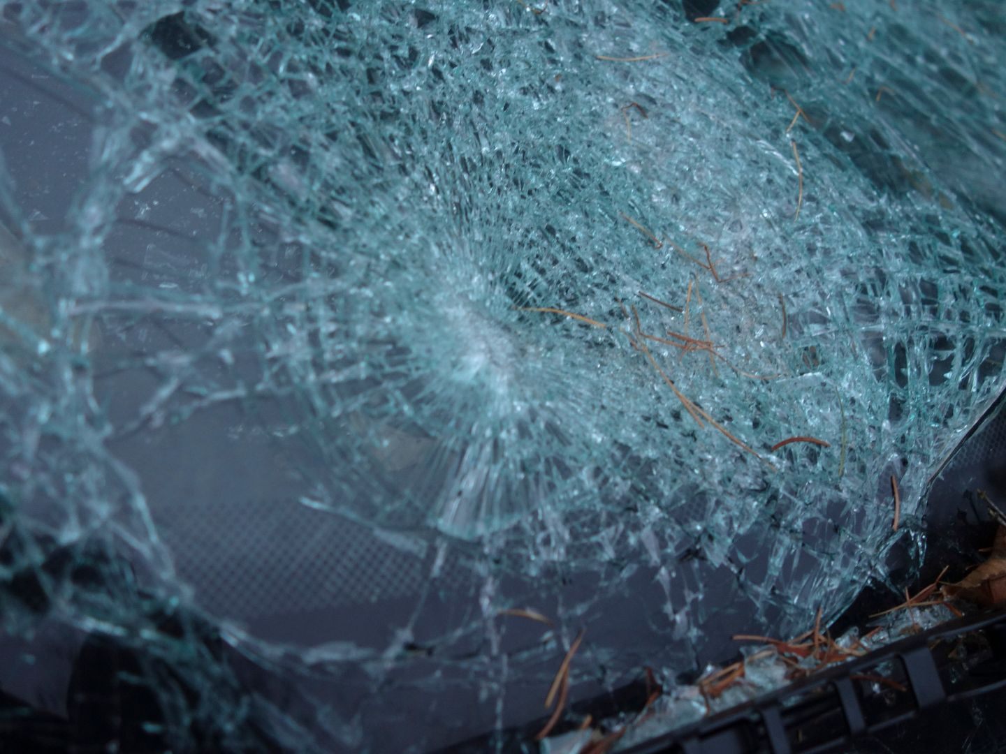 Die Beifahrerin starb nach dem Unfall auf der A1 noch selbstständig aus, bevor sie tot zusammenbrach. Die Beifahrerin starb nach dem Unfall auf der A1 noch selbstständig aus, bevor sie tot zusammenbrach.