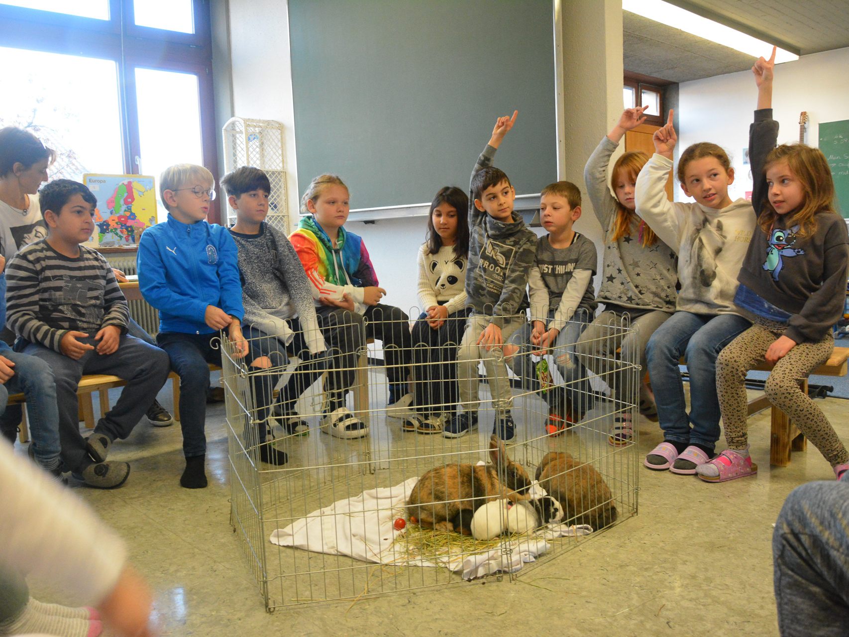 Tierischen Besuch hatten heute die 3b und 1a-Klasse der Volksschule Rotkreuz. Tierischen Besuch hatten heute die 3b und 1a-Klasse der Volksschule Rotkreuz.