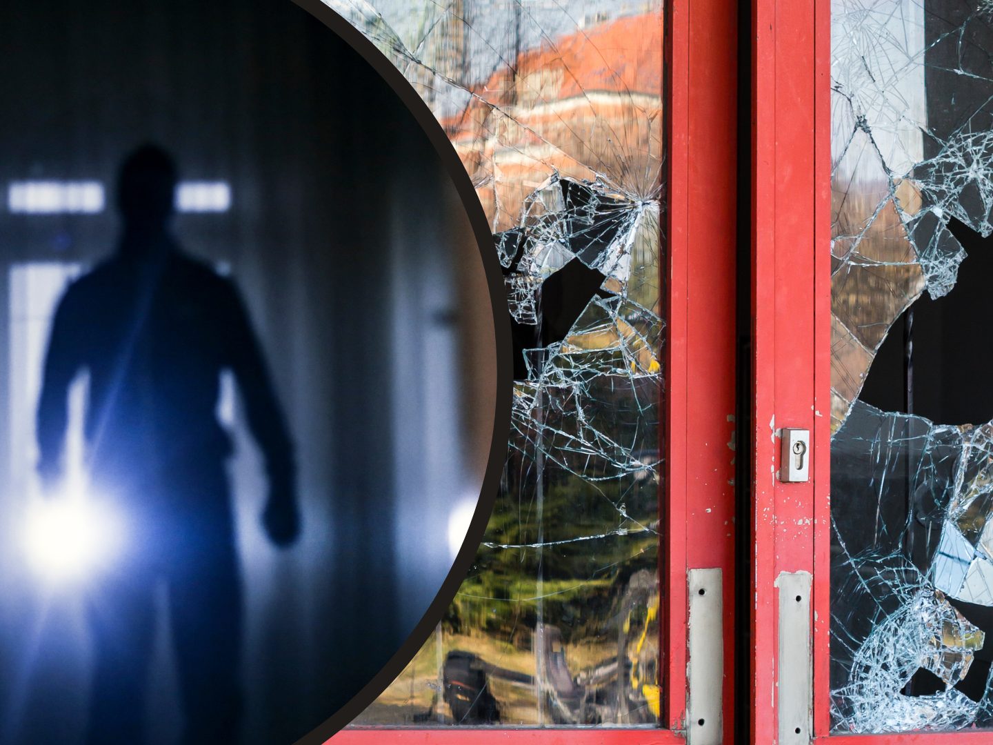 Der Mann begang schweren gewerbsmäßigen Einbruchsdiebstahl.