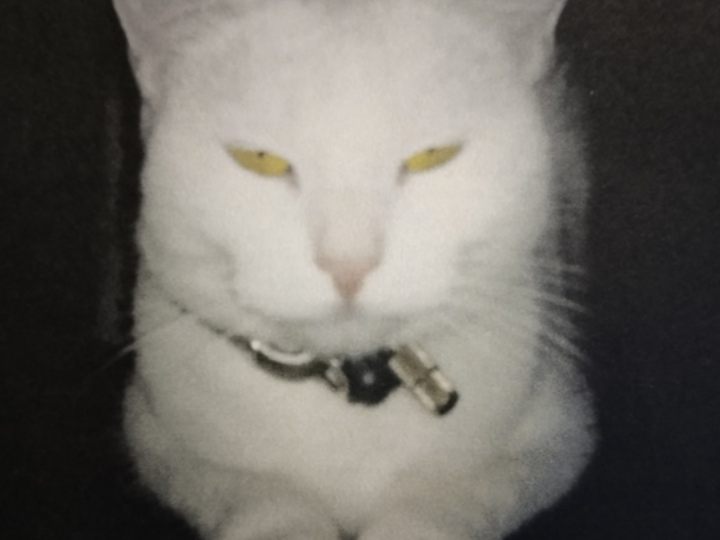 Gina