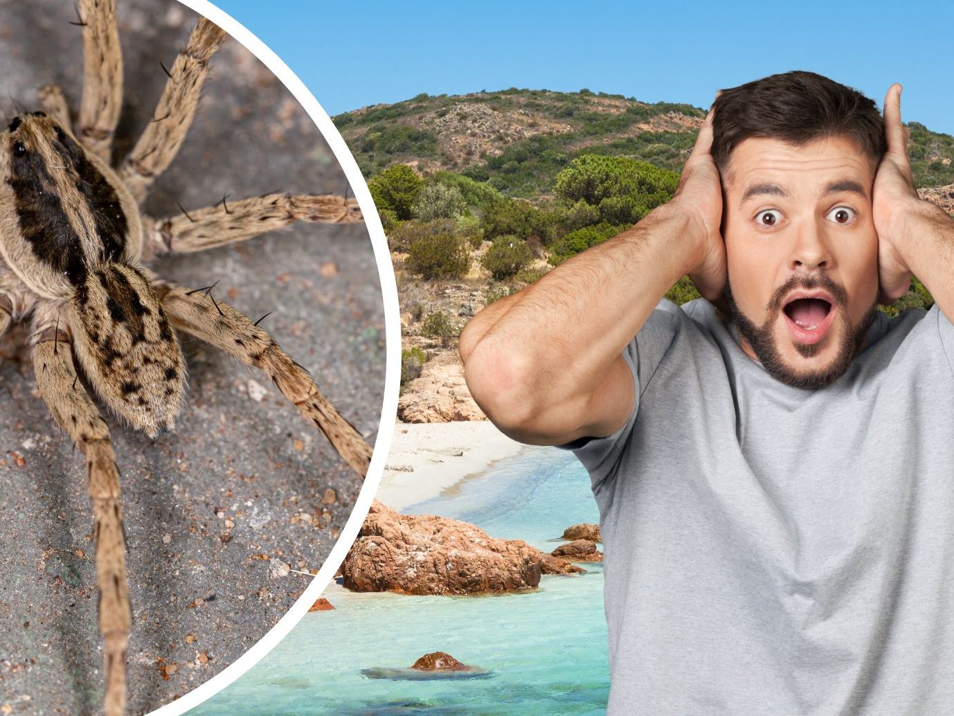 Ein Brite erlebte bei seinem Urlaub in Frankreich eine echte Horrorgeschichte. Ein Brite erlebte bei seinem Urlaub in Frankreich eine echte Horrorgeschichte.