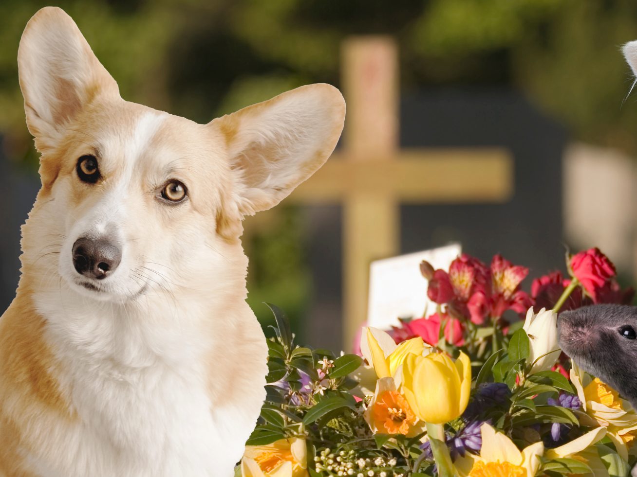 Viele Tierbesitzer wollen ihre Lieblinge gebührend verabschieden. Viele Tierbesitzer wollen ihre Lieblinge gebührend verabschieden.