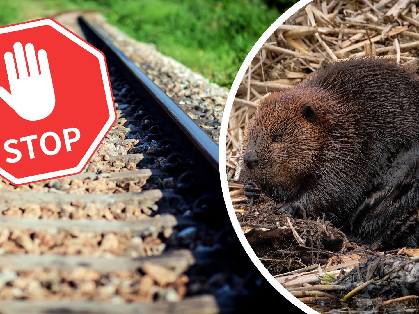 Auch das Kleinwalsertal ist derzeit vom Bahnverkehr abgeschnitten Auch das Kleinwalsertal ist derzeit vom Bahnverkehr abgeschnitten