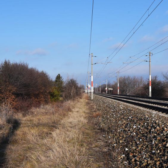 Beim Bahnhof Wiener Neustadt soll ein neues Stadtquartier entstehen.