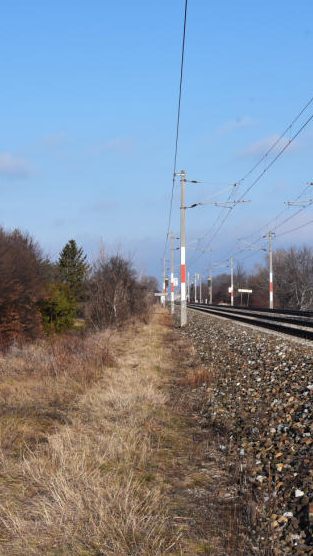 Beim Bahnhof Wiener Neustadt soll ein neues Stadtquartier entstehen.