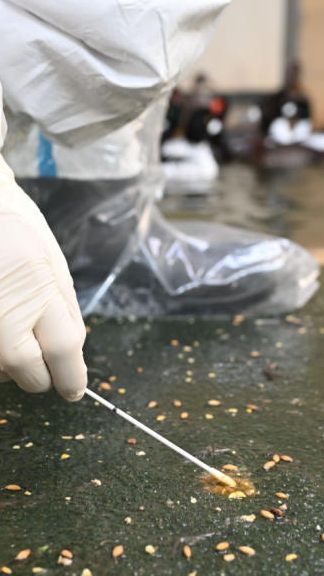 Im Tierpark Haag in Niederösterreich wurde ein Vogelgrippefall gemeldet.