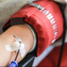 Das Rote Kreuz startete eine neue Kampagne zur Suche nach Stammzellenspendern.