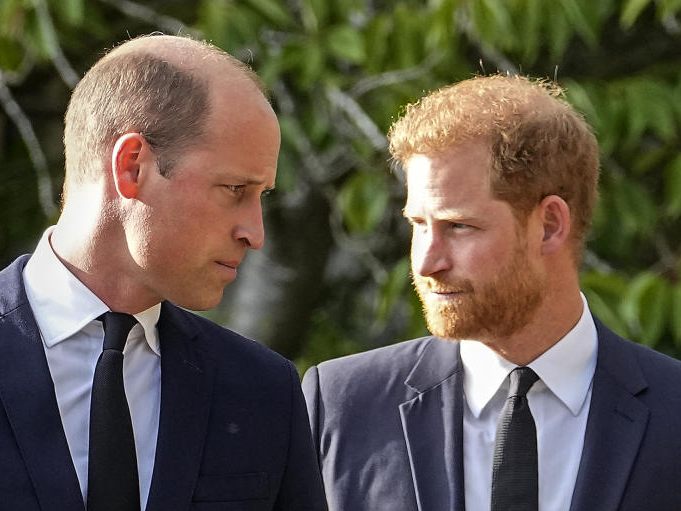 Ein Buch beleuchtet die Beziehung zwischen den Prinzen William und Harry. Ein Buch beleuchtet die Beziehung zwischen den Prinzen William und Harry.