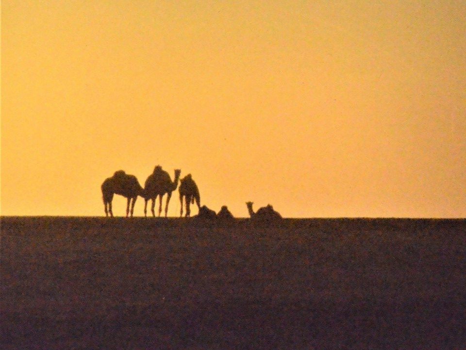 Sahara
