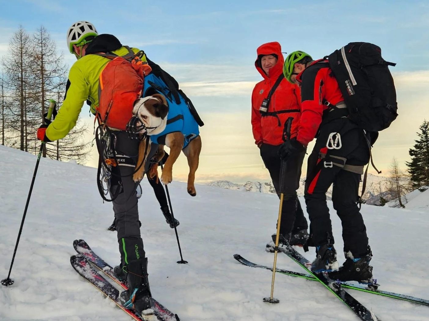 Die Bergrettung Bad Ischl konnte die Bulldogge retten.