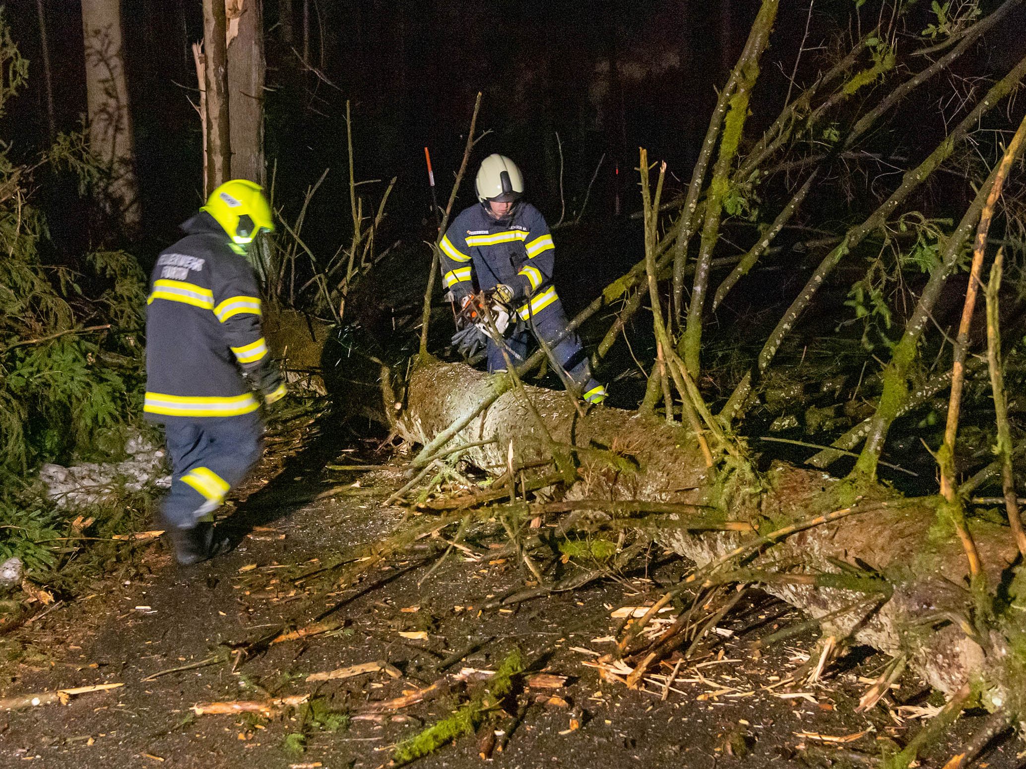 Die Feuerwehren waren wegen dem Sturm gefordert.