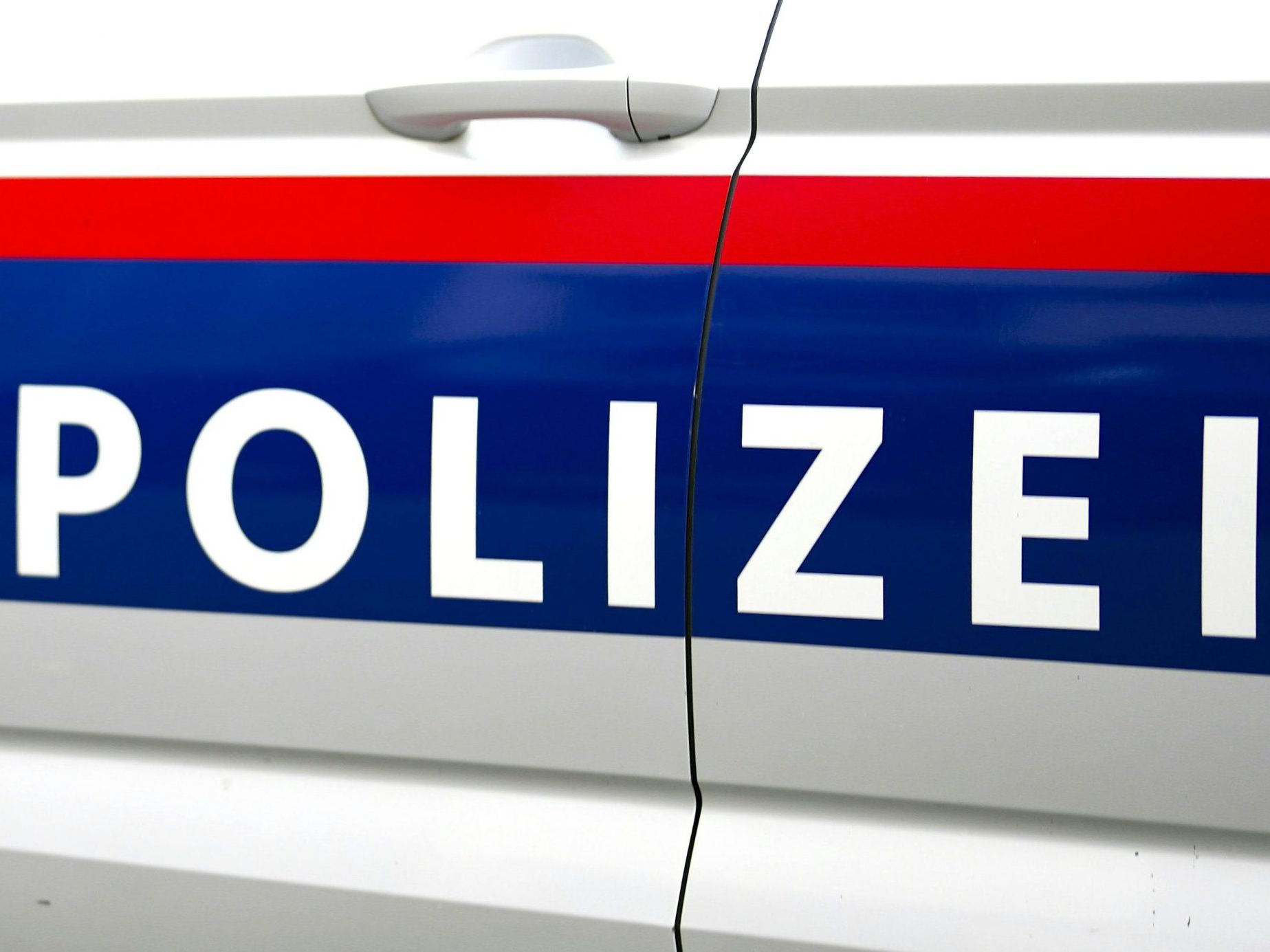 Die Polizei konnte einen gesuchten Einbrecher schnappen.