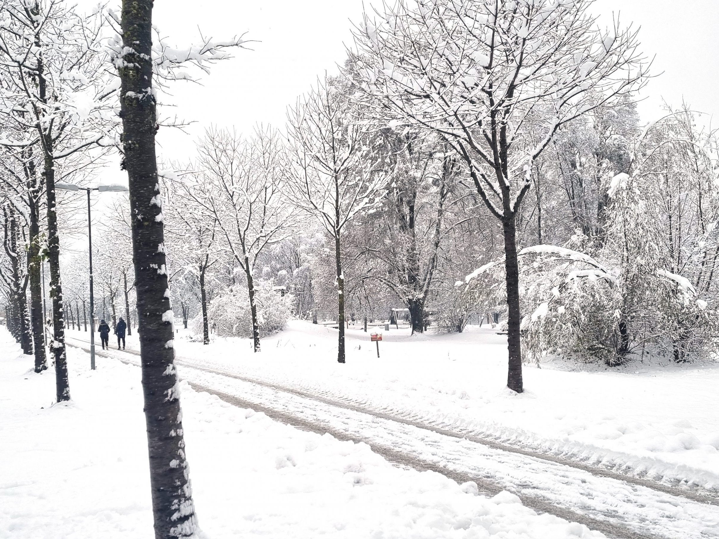 Ergiebiger Schneefall sorgte am Samstag in weiten Teilen Österreichs für Chaos.