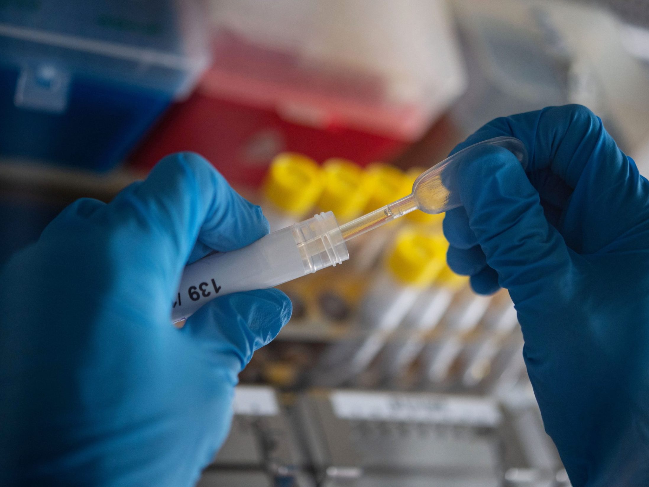 44.741 Personen erkrankten in der Woche vor Weihnachten an Corona.