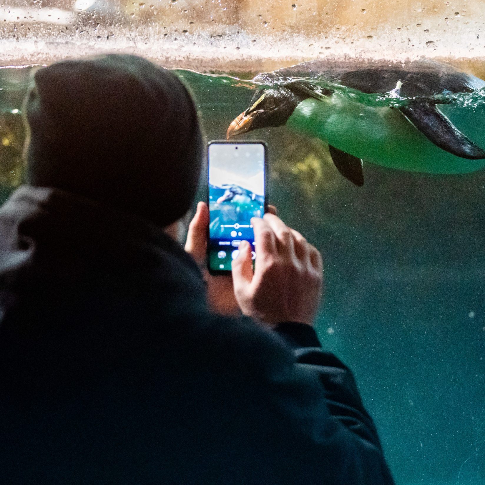 Der Wiener Tiergarten Schönbrunn verzeichnete 2023 über zwei Millionen Besucher.