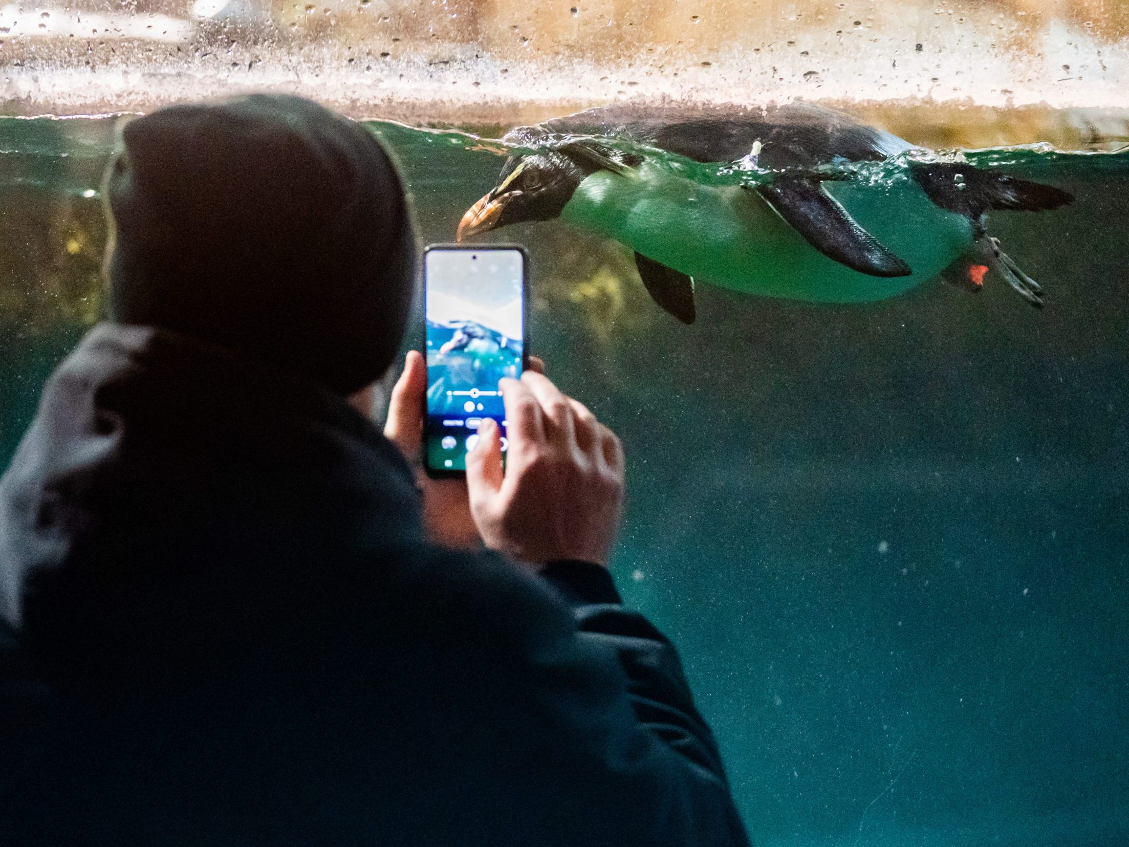 Der Wiener Tiergarten Schönbrunn verzeichnete 2023 über zwei Millionen Besucher. Der Wiener Tiergarten Schönbrunn verzeichnete 2023 über zwei Millionen Besucher.