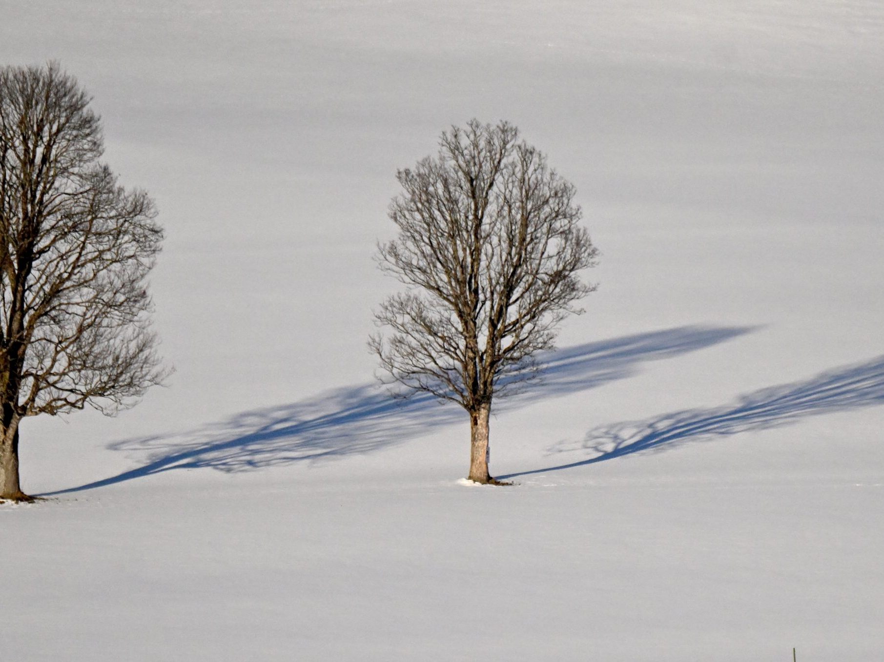 Wintersaison ist da.