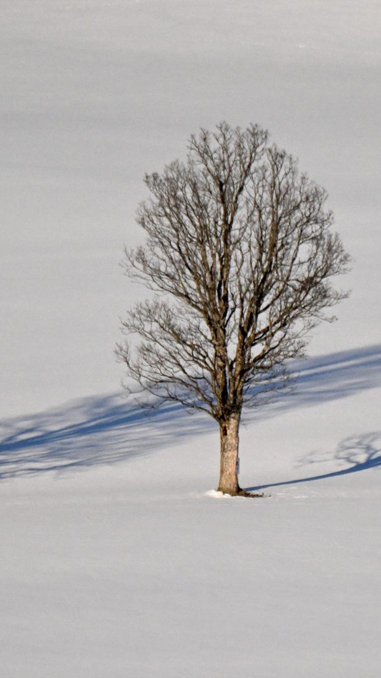 Wintersaison ist da.