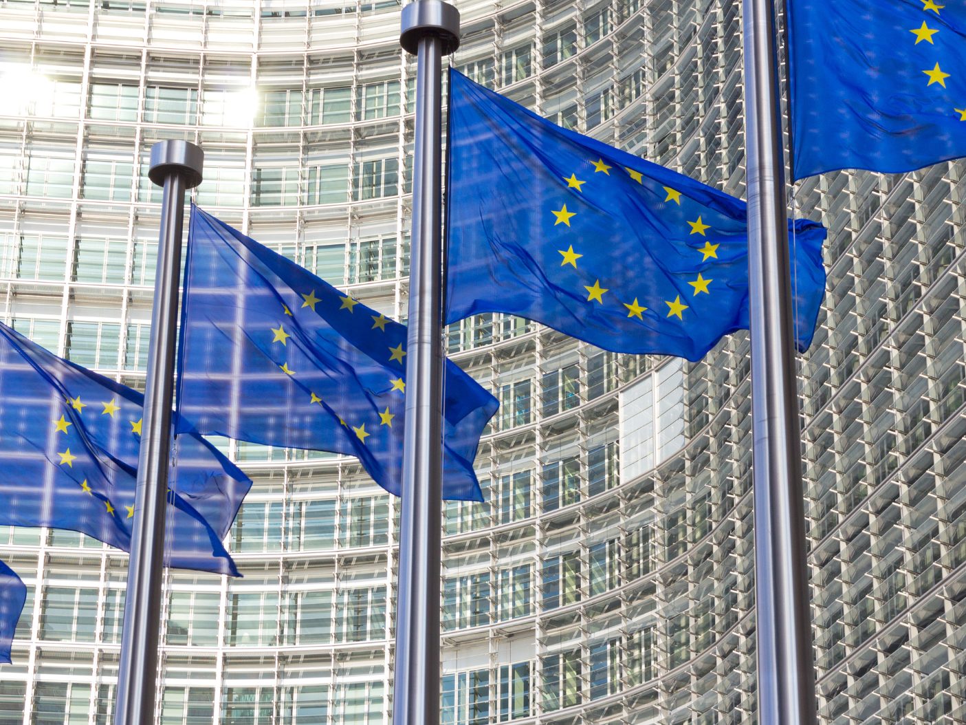 Experten sehen eine gute Themenlage für die FPÖ bei der EU-Wahl. Experten sehen eine gute Themenlage für die FPÖ bei der EU-Wahl.