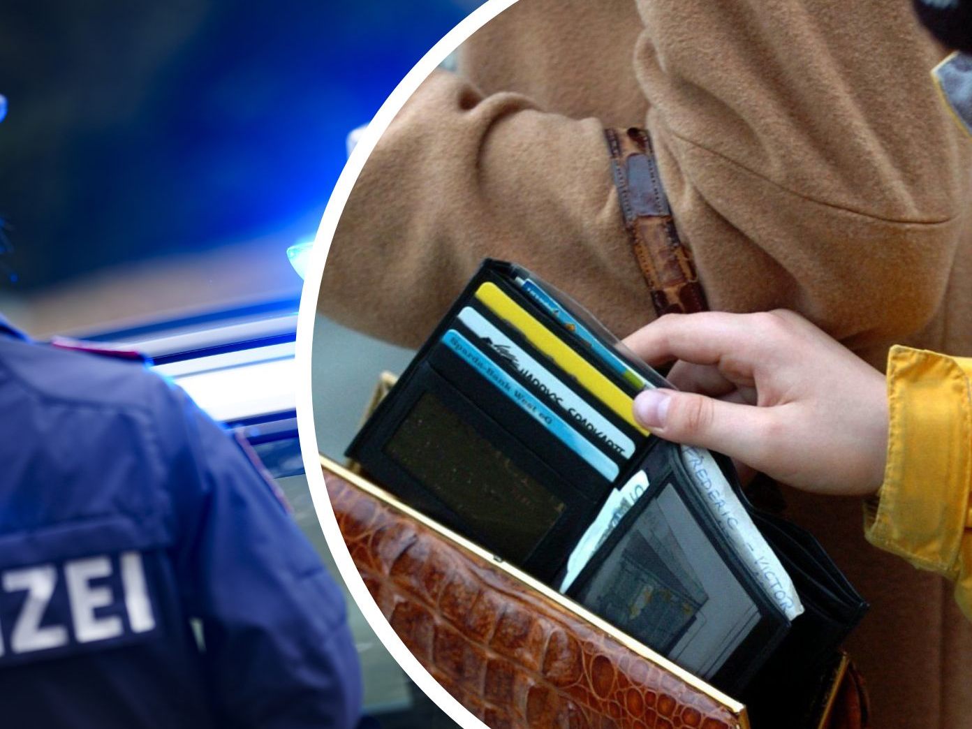 Die Wiener Polizei schnappte einen 17-Jährigen nach einem Raubversuch. Die Wiener Polizei schnappte einen 17-Jährigen nach einem Raubversuch.