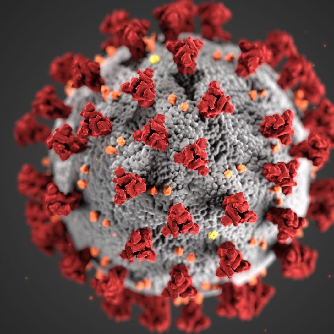 Eine Rechtsanwaltskanzlei klagte die Republik Österreich wegen "falscher Auslegung" einer Förderrichtlinie während der Coronakrise.