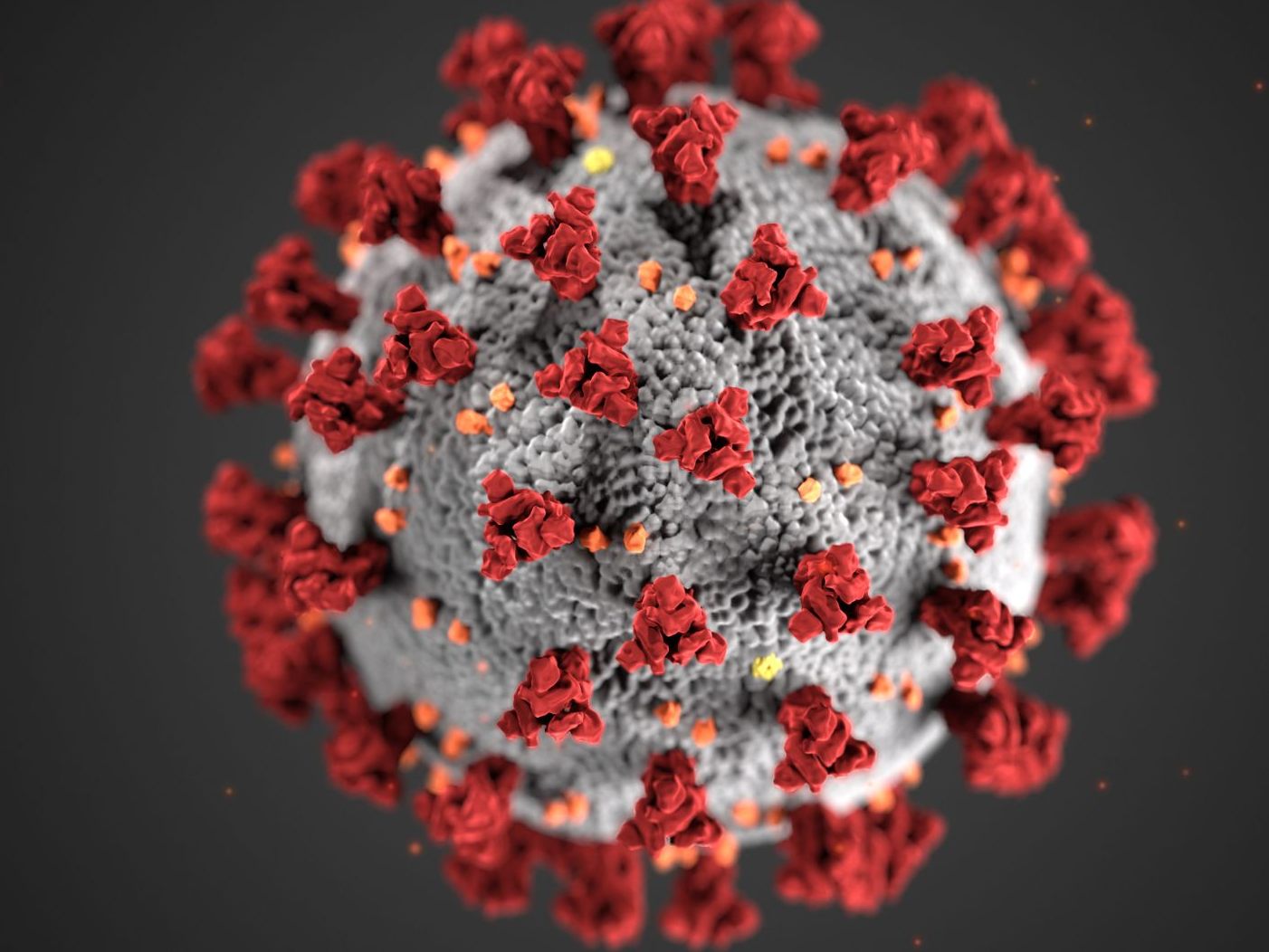 Eine Rechtsanwaltskanzlei klagte die Republik Österreich wegen "falscher Auslegung" einer Förderrichtlinie während der Coronakrise.