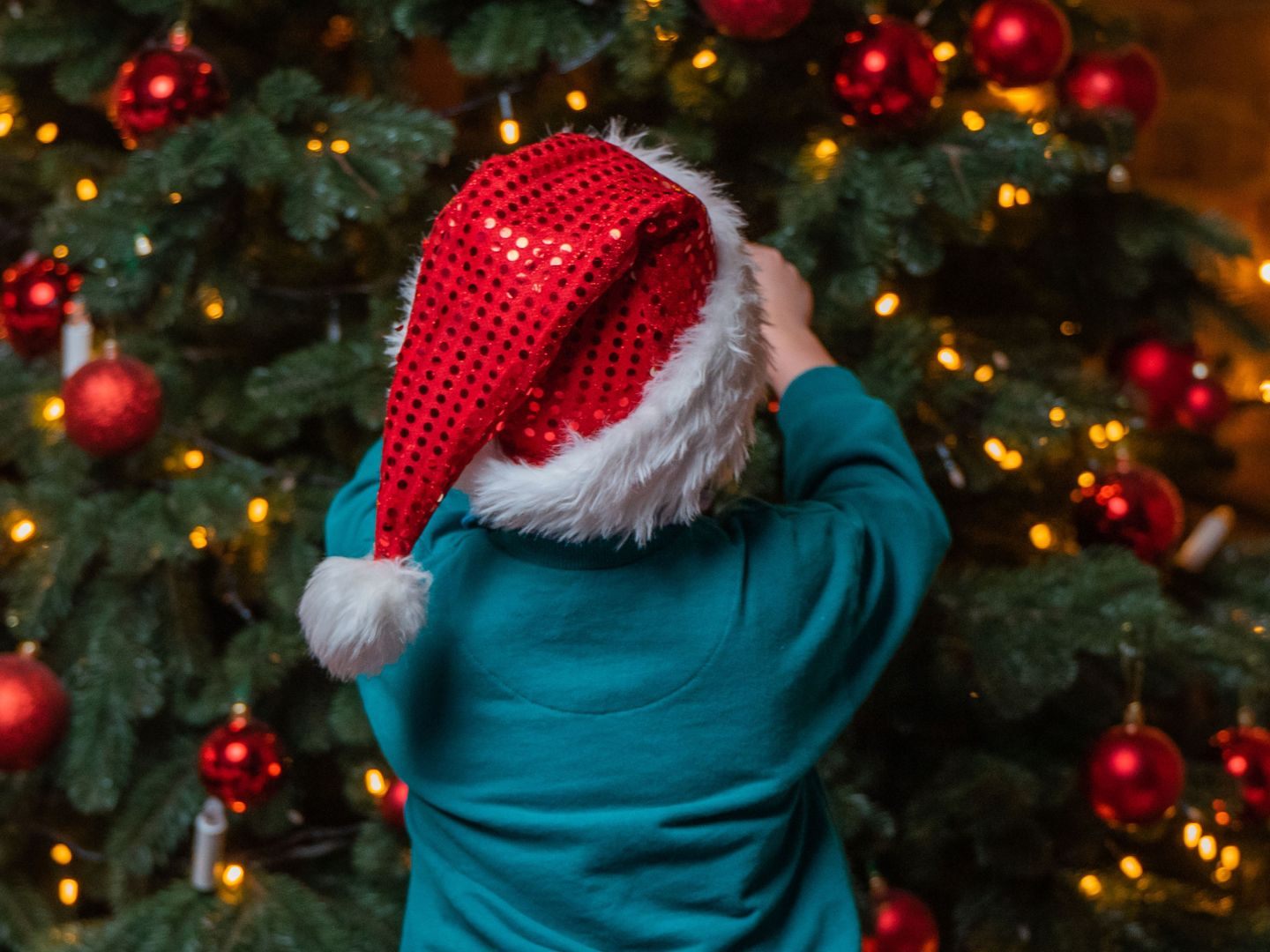 Viele Weihnachtsbäume sind voll von Giftstoffen.