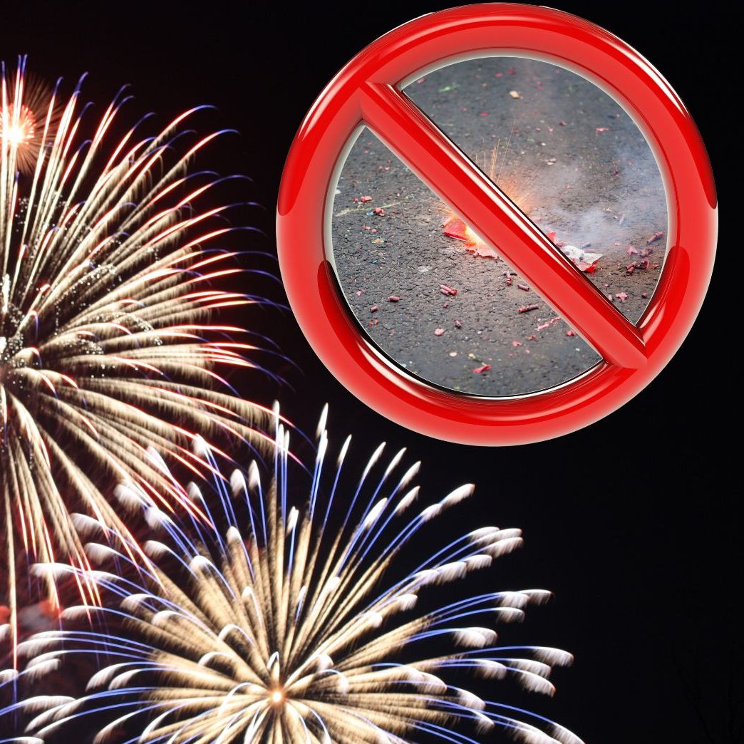 Der WWF will mit einer Petition ein Verbot von Böllern und Raketen erwirken.