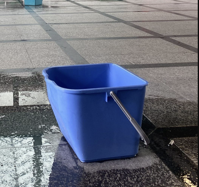 Der Kübel am Bregenzer Bahnhof hat schon österreichweit für Schlagzeilen gesorgt.