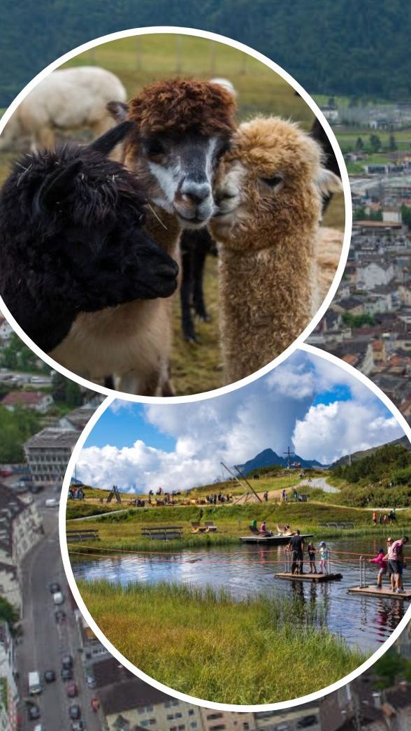 Im Bezirk Bludenz kann man viel erleben!