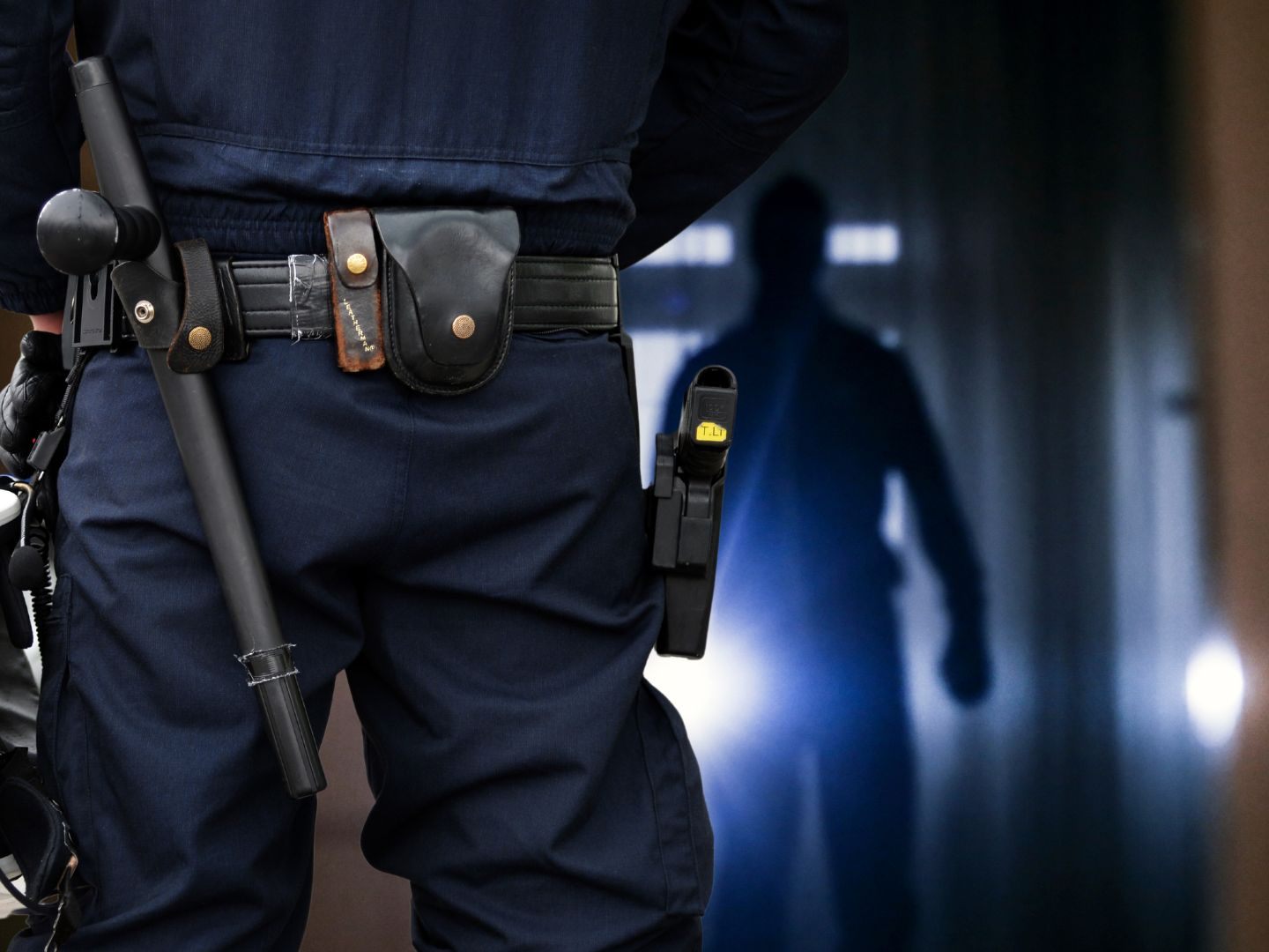 Die Polizei konnte Dienbstähle in Altach aufklären. Die Polizei konnte Dienbstähle in Altach aufklären.