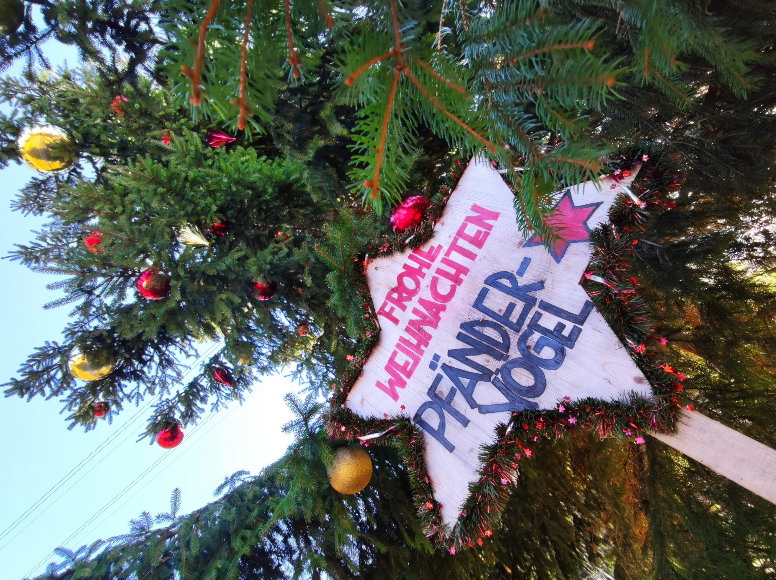 Die "Pfändervögel" wünschen Frohe Weihnachten.