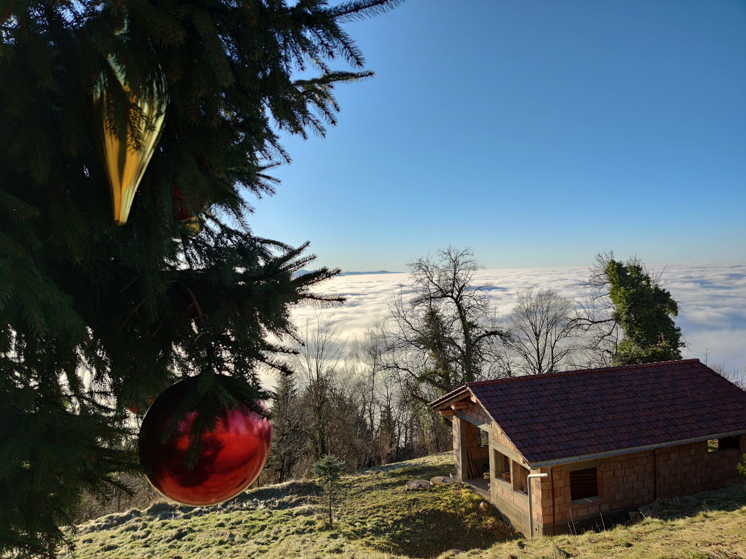 Kein Schnee, dafür ein Christbaum auf dem Pfänder. 
