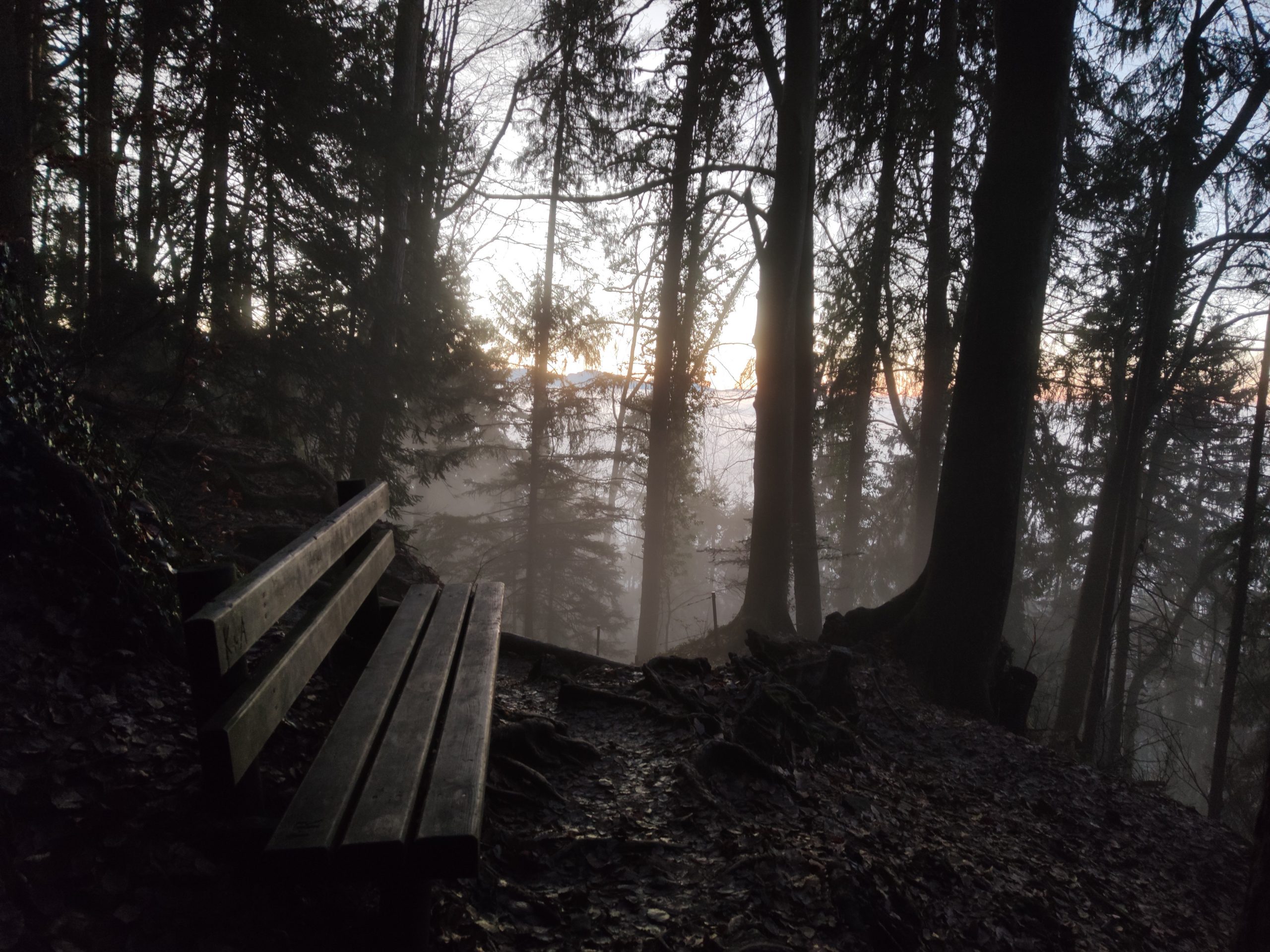 Auf dem Weg zurück nach Bregenz kam der Nebel zurück.