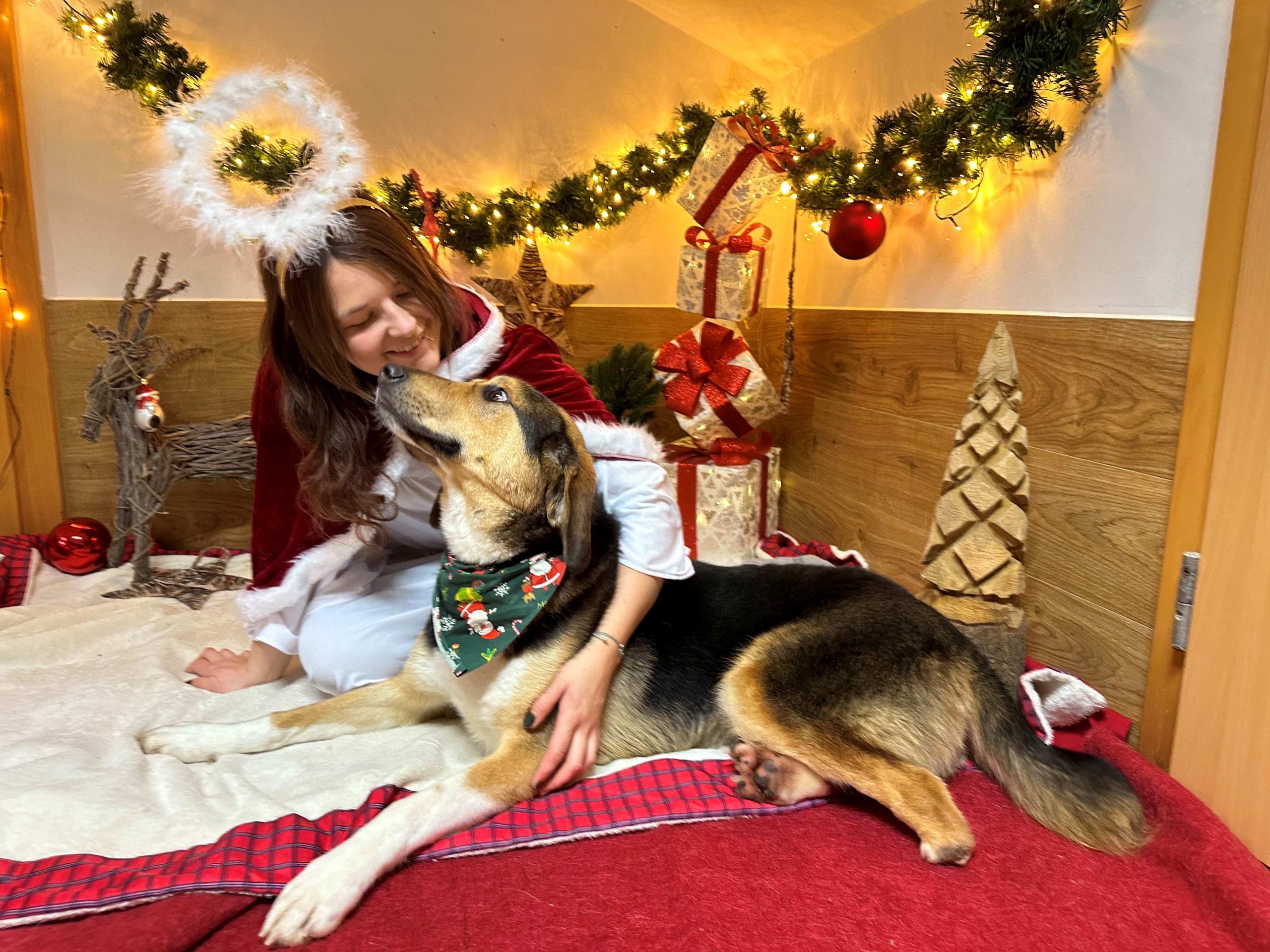 Die Pfotenhilfe appelliert auf Lebendgeschenke zu verzichten. Die Pfotenhilfe appelliert auf Lebendgeschenke zu verzichten.