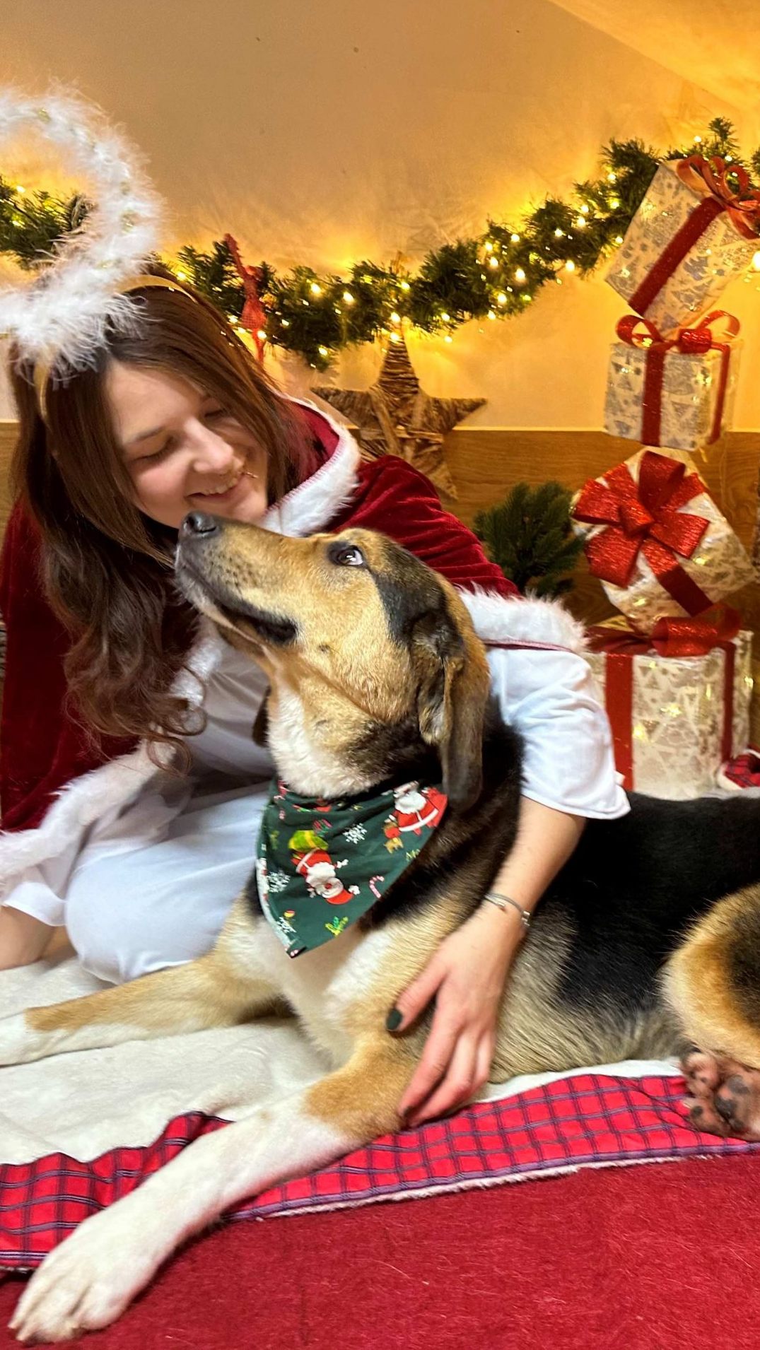 Die Pfotenhilfe appelliert auf Lebendgeschenke zu verzichten.