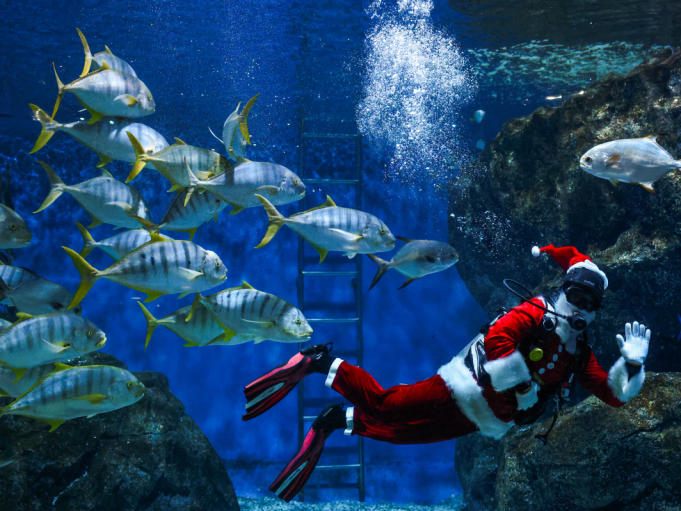 Was macht dieser Weihnachtsmann unter Wasser?