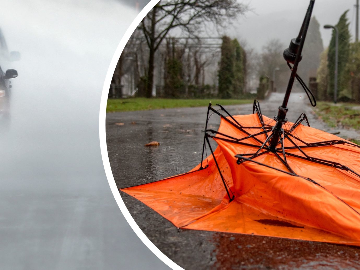 Die nächsten Tage wird es in Vorarlberg stürmisch werden.