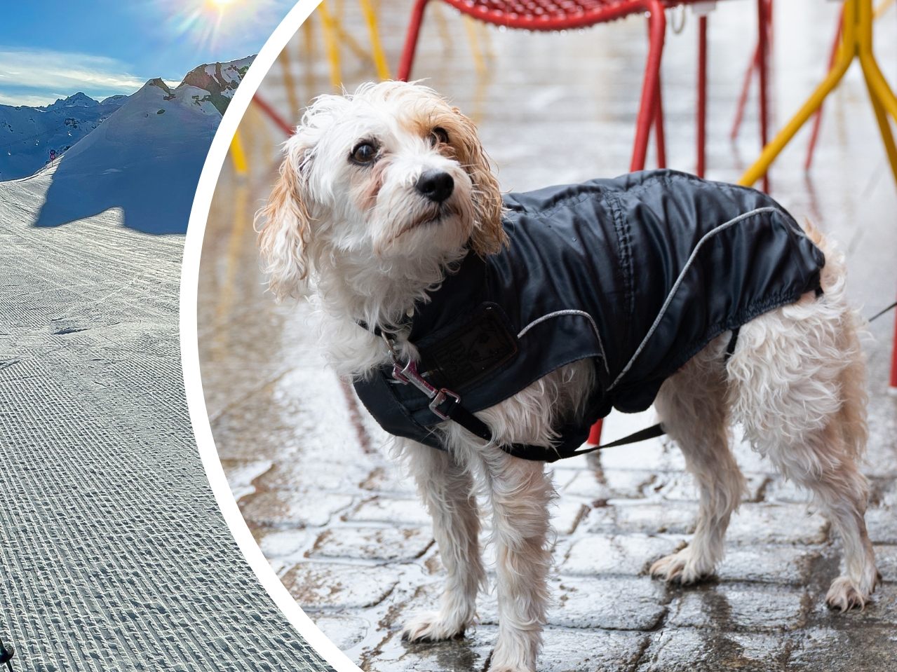 "Hundewetter" die nächsten Tage: Zwar mild aber immer wieder Regen und Wind.