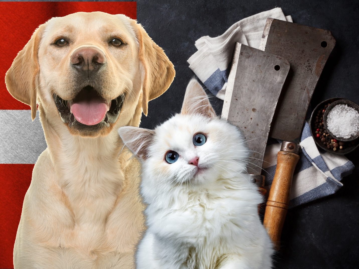 In der Schweiz ist es nicht illegal, Hunde und Katzen zu verzehren. In der Schweiz ist es nicht illegal, Hunde und Katzen zu verzehren.