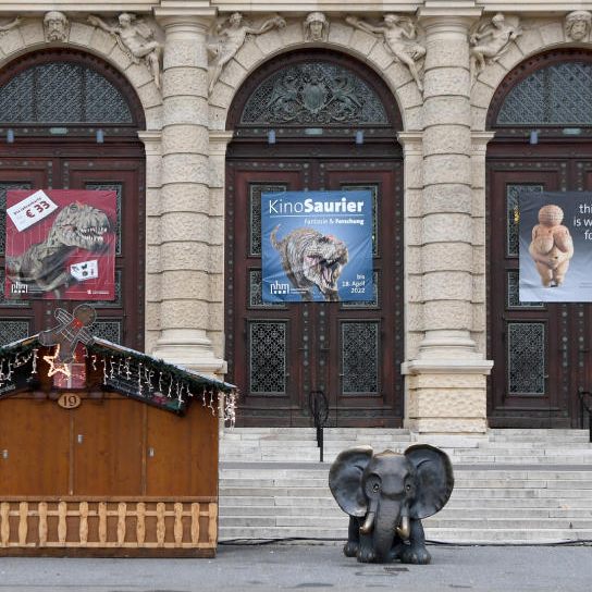 Das Naturhistorische Museum Wien und das mumok suchen eine neue Leitung.