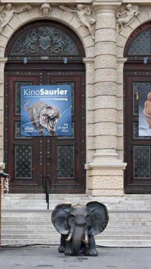 Das Naturhistorische Museum Wien und das mumok suchen eine neue Leitung.