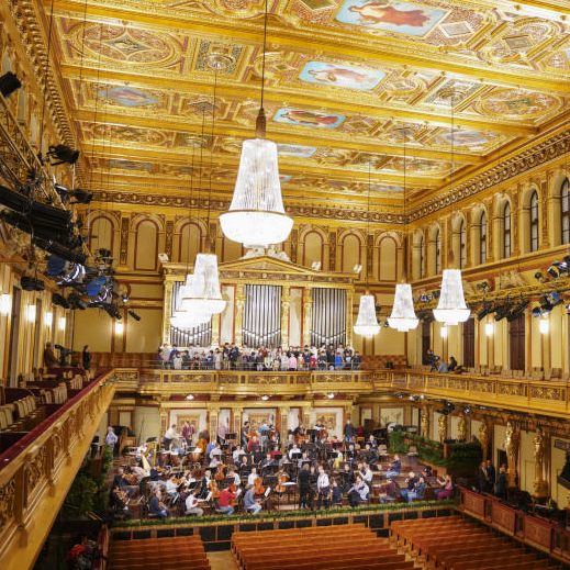 Wiener Forscher wollen dem 3/4-Takt des Neujahrskonzerts auf den Grund gehen.