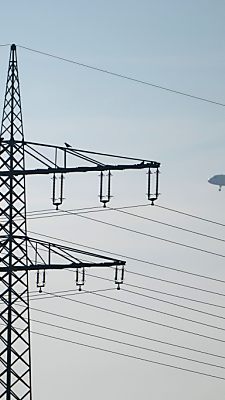 Energiefirmen sollen einen Beitrag leisten, sagt die Regierung