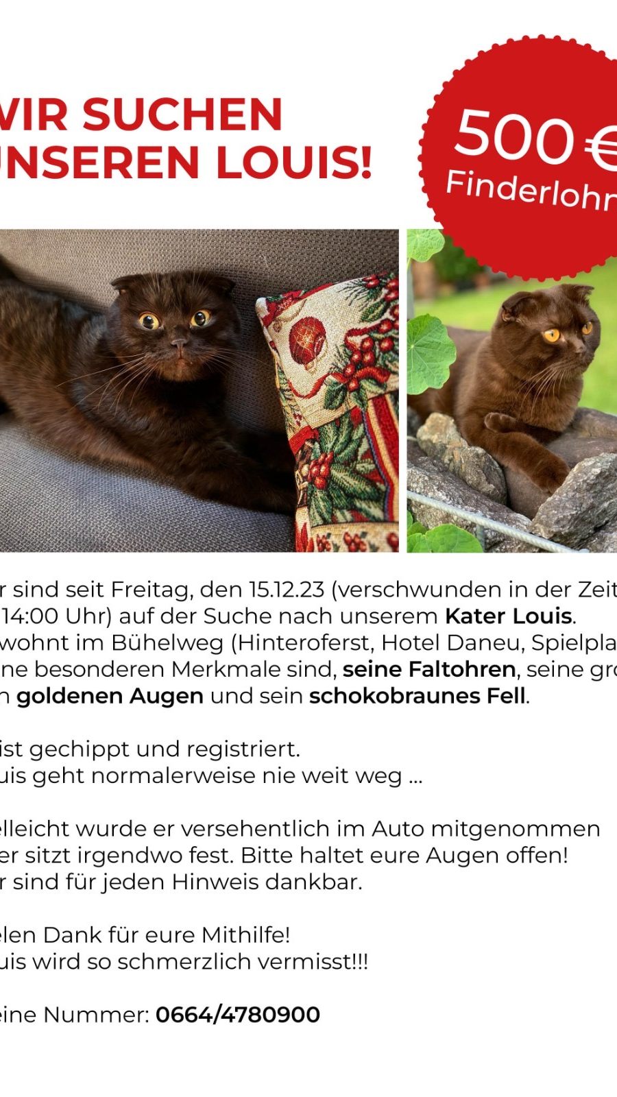 Louis wo bist du? Finderlohn 500€