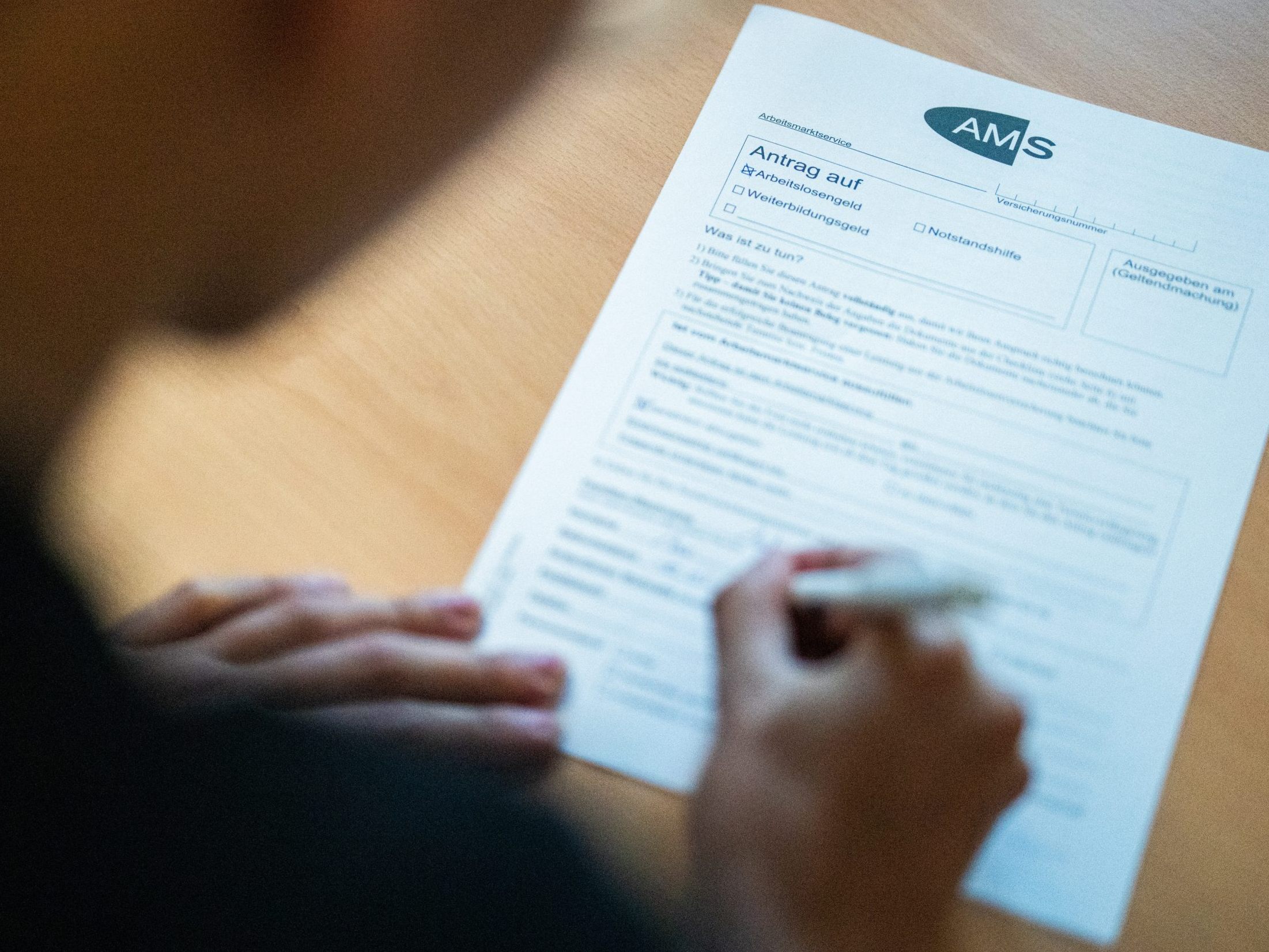 399.005 Arbeitslose waren zu Jahresende gemeldet.