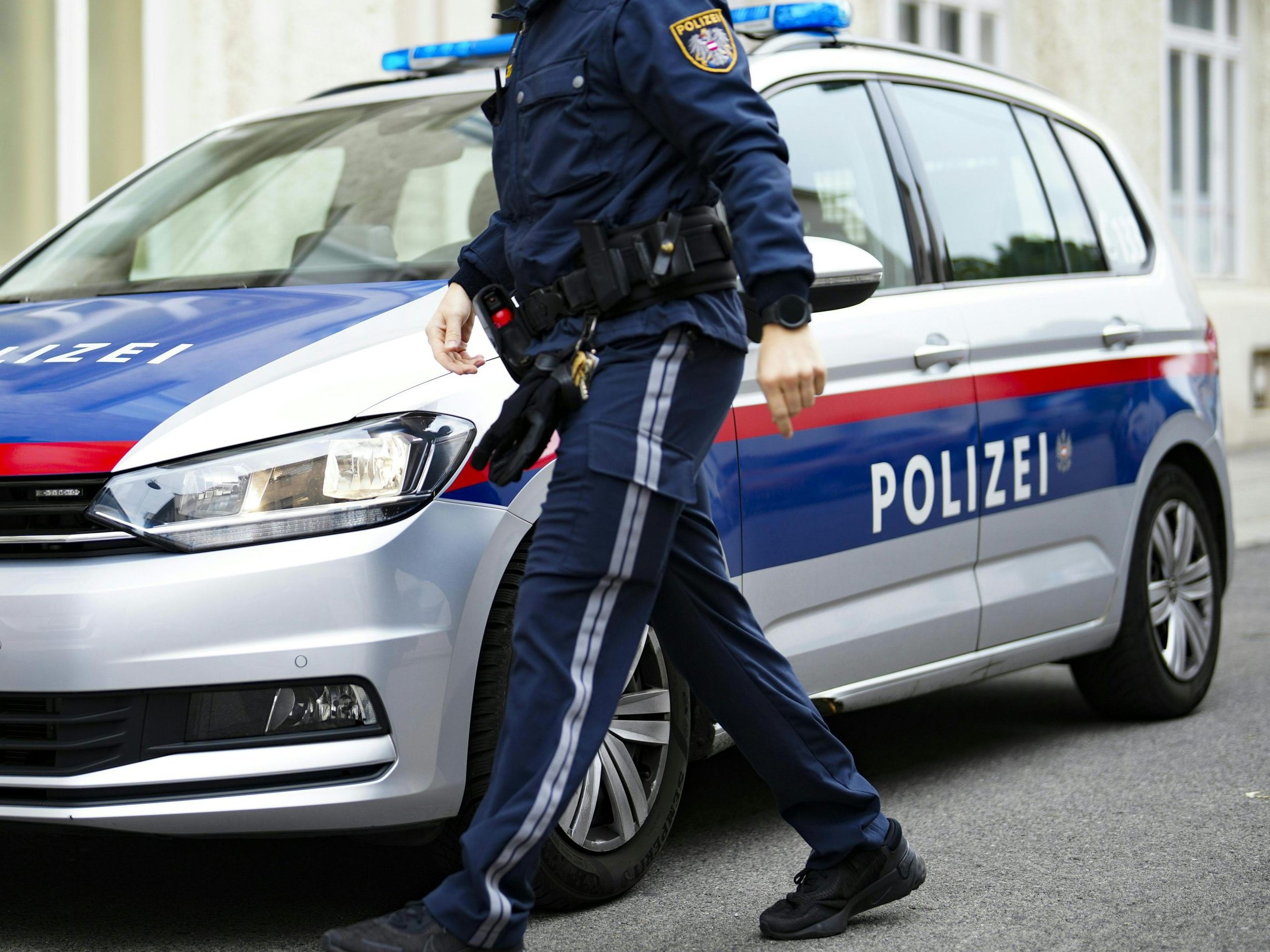 Die Polizei fasste drei Teenager die in einem Carsharing-Auto in Wien unterwegs waren.
