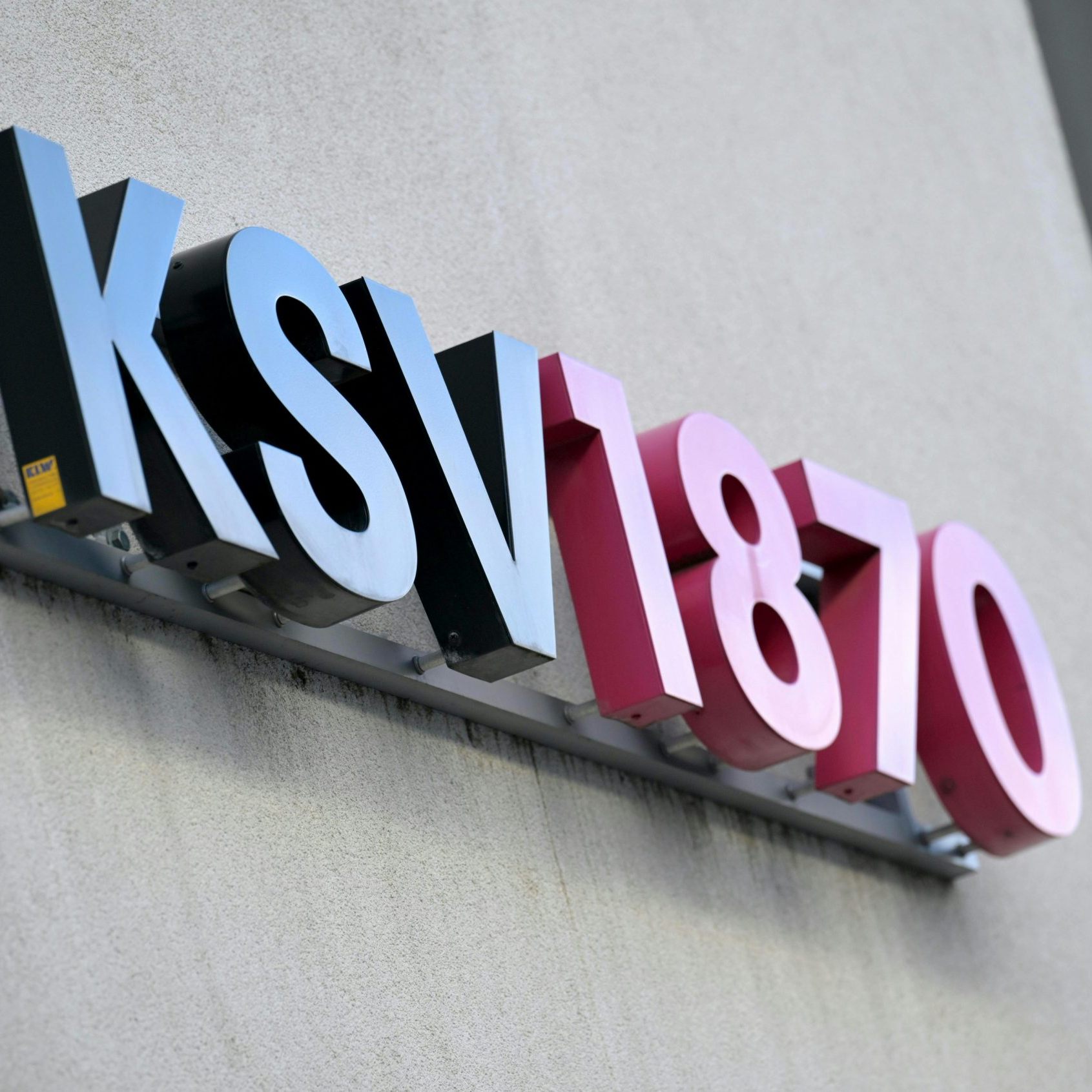 Datenschützer Max Schrems hat eine Anzeige und eine Beschwerde gegen den Kreditschutzverein KSV1870 eingebracht.